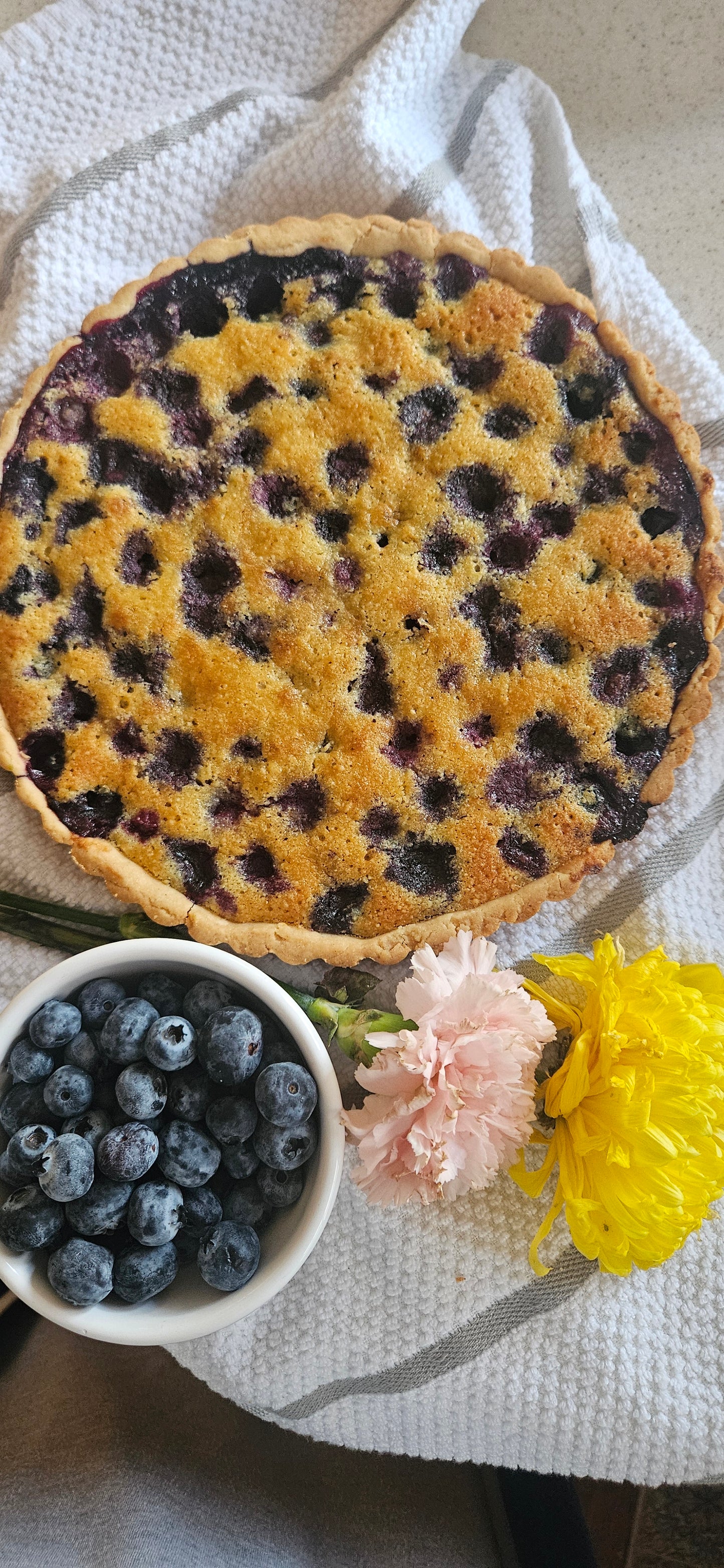 Blueberry Tart